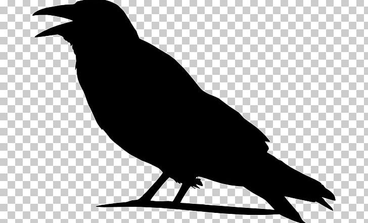 Crow PNG, Clipart, American Crow, Animals, Beak, Bird, Black And White Free PNG Download