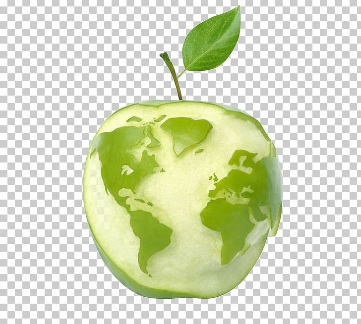 United States Apple Cider World Fruit PNG, Clipart, Apple, Apple Cider Vinegar, Apple Fruit, Apple Logo, Apple Tree Free PNG Download