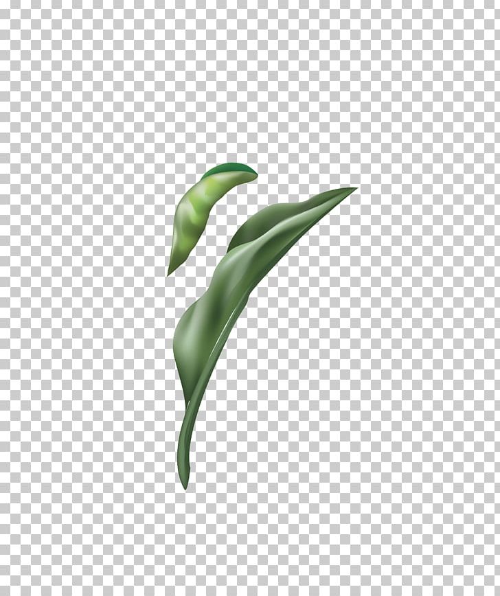Gouache Watercolor Painting PNG