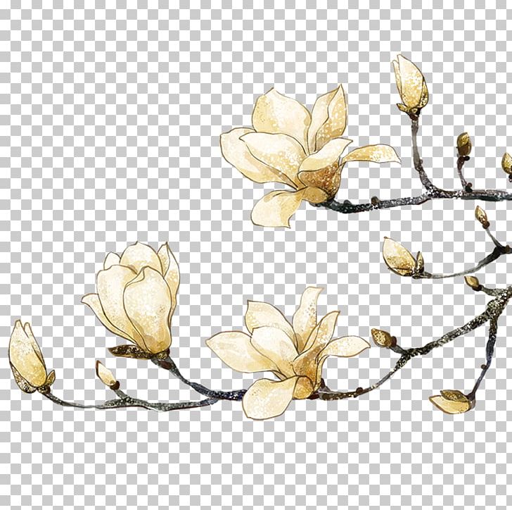 Southern Magnolia Painting Flower PNG, Clipart, Black White, Branch, Fruit Nut, Illustrator, Ink Wash Painting Free PNG Download