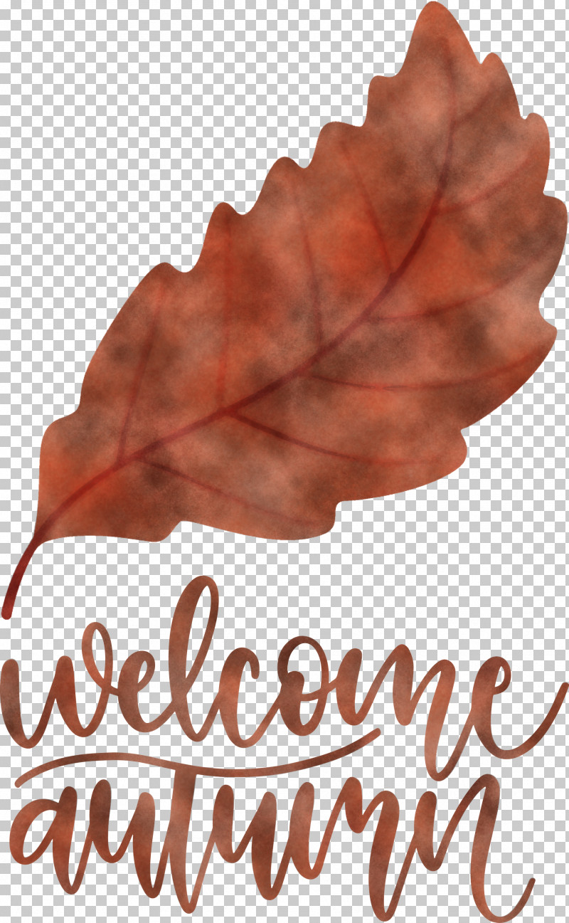 Welcome Autumn Autumn PNG, Clipart, Autumn, Biology, Leaf, Meter, Plants Free PNG Download