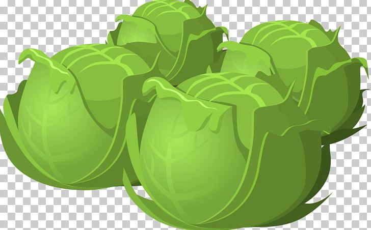 Cabbage Vegetable Lettuce PNG, Clipart, Broccoli, Cabbage, Chinese Cabbage, Food, Fruit Free PNG Download