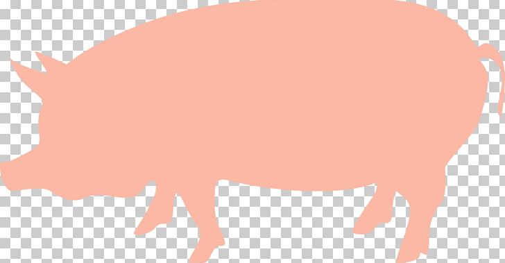 Domestic Pig Animal Natural Resource PNG, Clipart, Animal, Animals, Cattle, Cattle Like Mammal, Consumables Free PNG Download