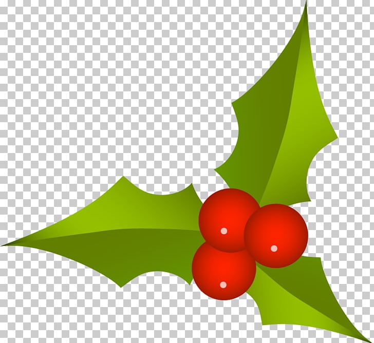 Euclidean PNG, Clipart, Berries, Berries Vector, Christmas, Computer Wallpaper, Fruit Free PNG Download