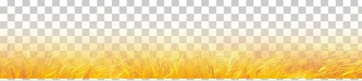 Sunlight Energy Sky Yellow PNG, Clipart, Atmosphere, Autumn, Closeup, Commodity, Computer Free PNG Download