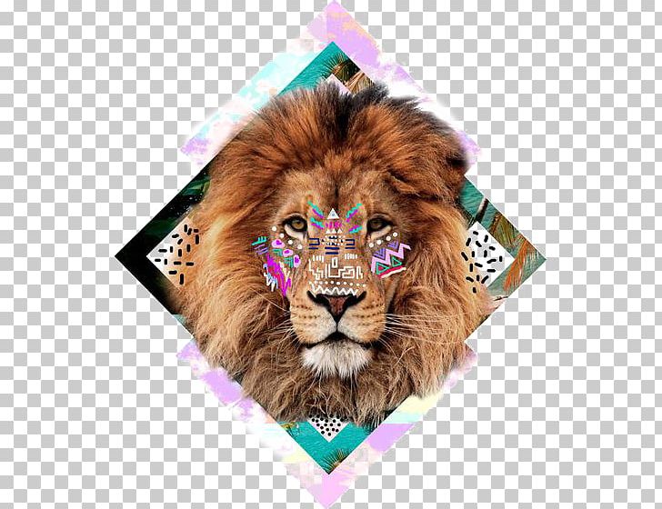 Wall Decal Art Poster Printmaking Canvas Print PNG, Clipart, Animal, Animals, Artist, Big Cats, Buckle Free PNG Download