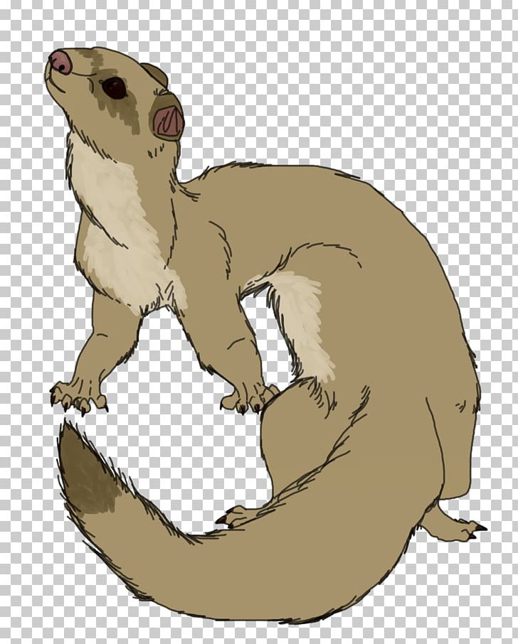 Whiskers Ferret Cat Weasels Snake PNG, Clipart, Animal, Animals, Art, Carnivoran, Cat Free PNG Download
