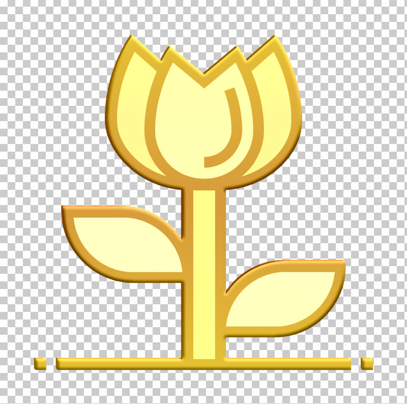 Party Icon Flower Icon PNG, Clipart, Computer, Flower Icon, Logo, M, Meter Free PNG Download