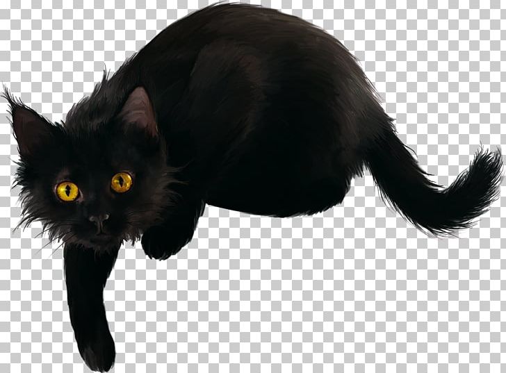 Black Cat Kitten PNG, Clipart, Animal, Animals, Black, Black Cat, Bombay Free PNG Download