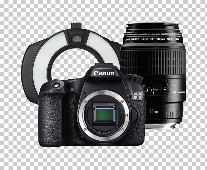 Canon EOS 6D Canon EOS 77D Canon EF-S 18–135mm Lens Canon EOS 70D Digital SLR PNG, Clipart, Came, Camera, Camera Accessory, Camera Lens, Canon Free PNG Download