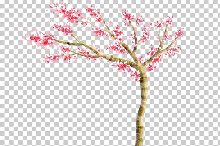 Child High-definition Television Display Resolution PNG, Clipart, Blossom, Branch, Cherry Blossom, Child, Computer Free PNG Download