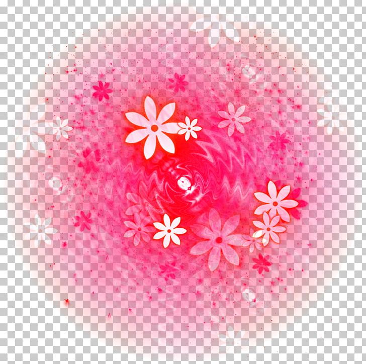 Close-up Pink Magenta Petal Flower PNG, Clipart, Circle, Closeup, Closeup, Computer, Computer Wallpaper Free PNG Download