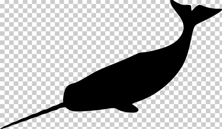 Narwhal Silhouette Whale PNG, Clipart, Animals, Art, Beak, Beluga Whale, Black Free PNG Download