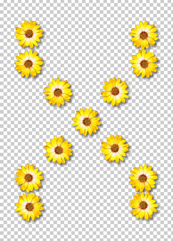 Symbol Drawing PNG, Clipart, Architect, Chrysanths, Clothing, Cut Flowers, Daisy Family Free PNG Download