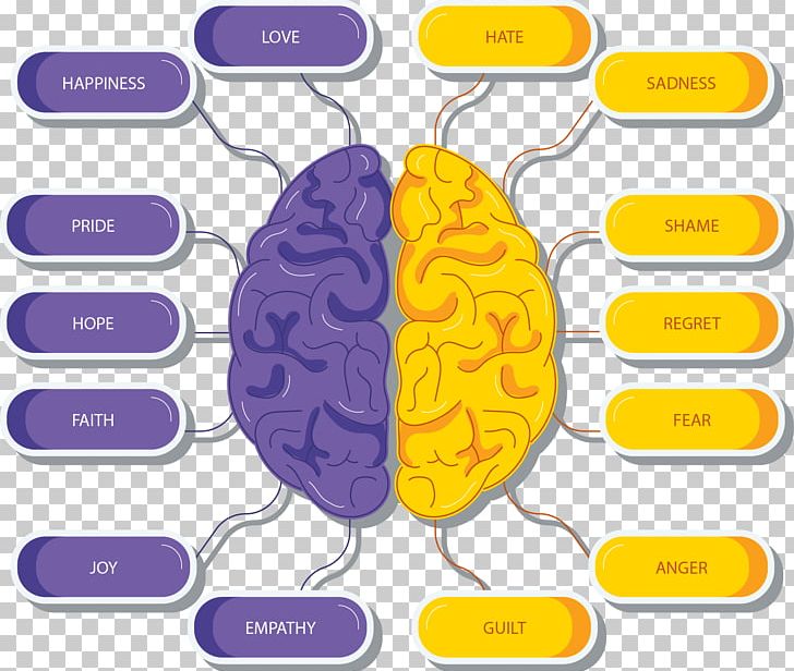 Lateralization Of Brain Function Goruh PNG, Clipart, Brain, Brain, Cerebrum, Encapsulated Postscript, Hand Free PNG Download