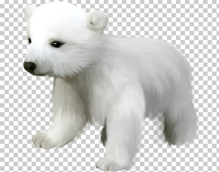 Polar Bear Giant Panda PNG, Clipart, Animal, Animals, Bear, Black White, Carnivoran Free PNG Download