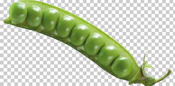 Snow Pea Vegetable Peas And Beans Legume Mofongo PNG, Clipart, Bean, Bell Peppers And Chili Peppers, Cayenne Pepper, Chili Pepper, Crop Free PNG Download