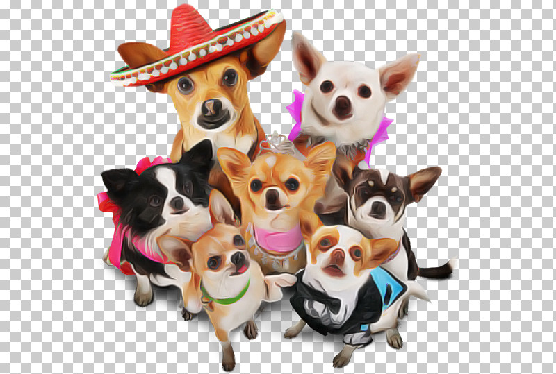 Dog Pembroke Welsh Corgi Chihuahua Welsh Corgi Cardigan Welsh Corgi PNG, Clipart, Cardigan Welsh Corgi, Chihuahua, Dog, Pembroke Welsh Corgi, Welsh Corgi Free PNG Download