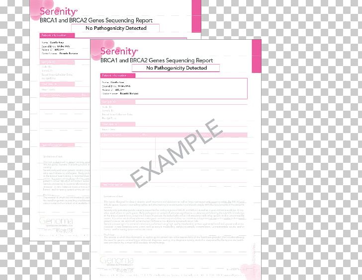 Document Pink M Line RTV Pink Brand PNG, Clipart, Art, Brand, Brand Line, Document, Line Free PNG Download