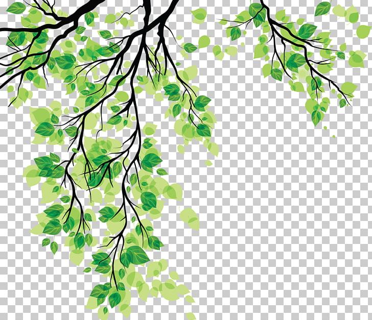 Leaf PNG, Clipart, Background Green, Branch, Cartoon, Creative, Fall Leaves  Free PNG Download