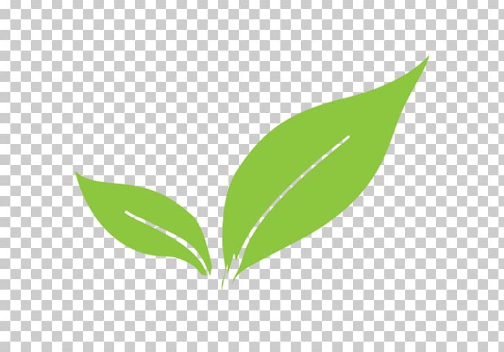 Leaf Plant Stem Europe 0 PNG, Clipart, 2018, Academy, City, Community, Europe Free PNG Download