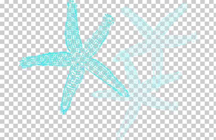 Starfish Blue Sand Dollar PNG, Clipart, Animals, Aqua, Azure, Blue, Clip Art Free PNG Download