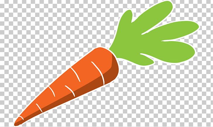 Street Food Carrot PNG, Clipart, Carrot, Crystal, Crystal Palace, Food, Food Market Free PNG Download