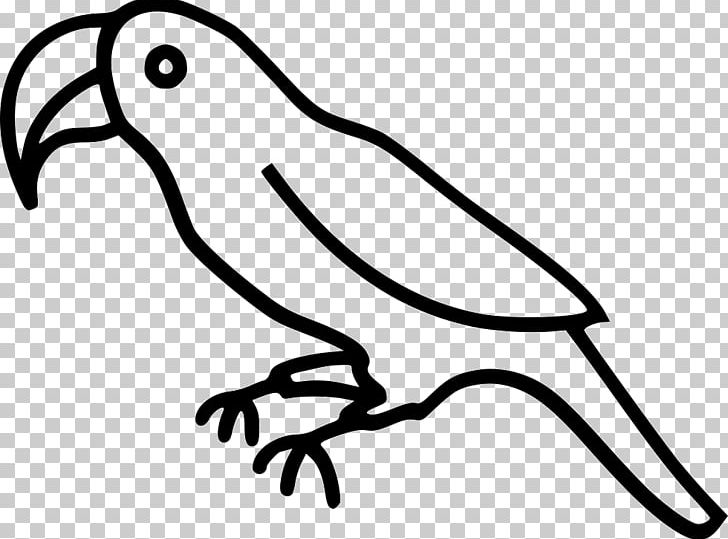 Bird Parrot Computer Icons Beak PNG, Clipart, Animals, Artwork, Beak, Bird, Black And White Free PNG Download