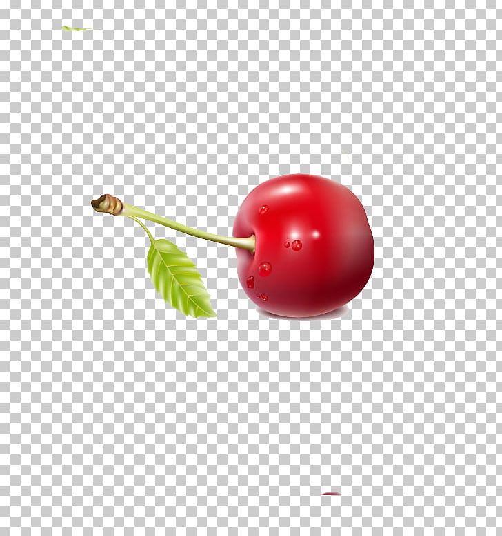 Cherry Berry Fruit Red PNG, Clipart, Berry, Berry Fruit, Cherries, Cherry, Cherry Blossom Free PNG Download