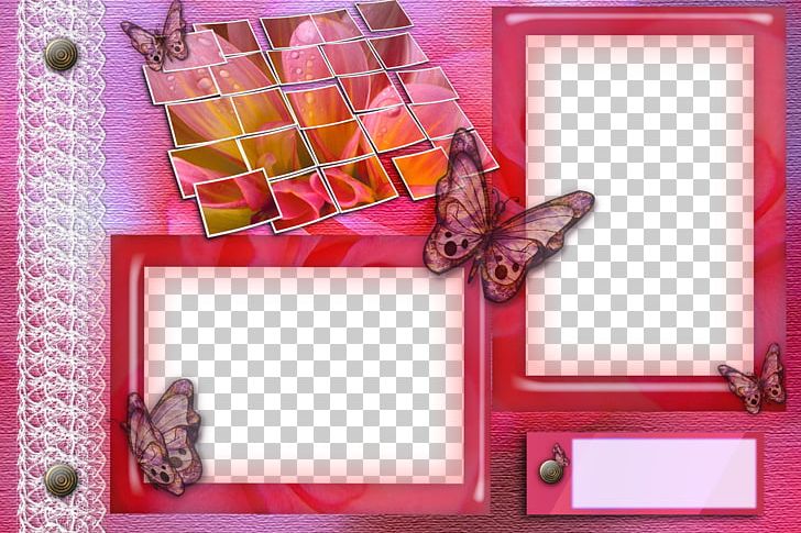 Frame Photography PNG, Clipart, Border, Border Frame, Butterfly, Canon, Certificate Border Free PNG Download