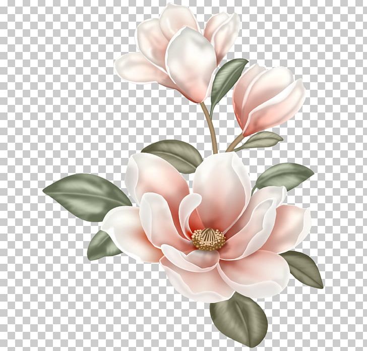 Magnolia Flower Painting PNG, Clipart, Art, Blossom, Cut Flowers, Decoupage, Desktop Wallpaper Free PNG Download