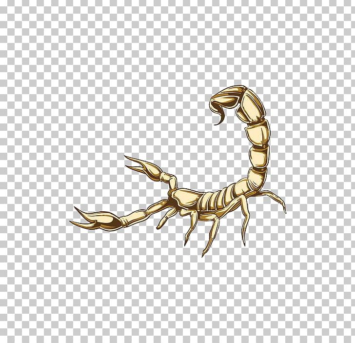 Scorpion Decal Illustration PNG, Clipart, Animal, Animal Bite, Arachnid, Arthropod, Brass Free PNG Download