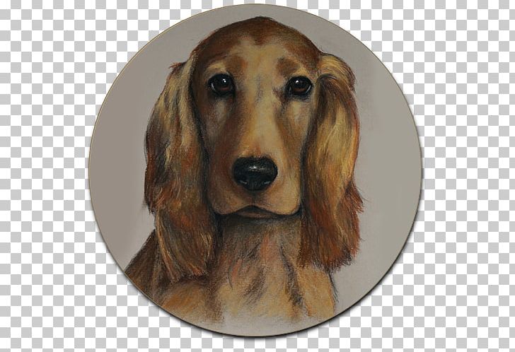 Dachshund English Cocker Spaniel Ute Reinhardt Dog Breed Painting PNG, Clipart, Carnivoran, Companion Dog, Dachshund, Dog, Dog Breed Free PNG Download