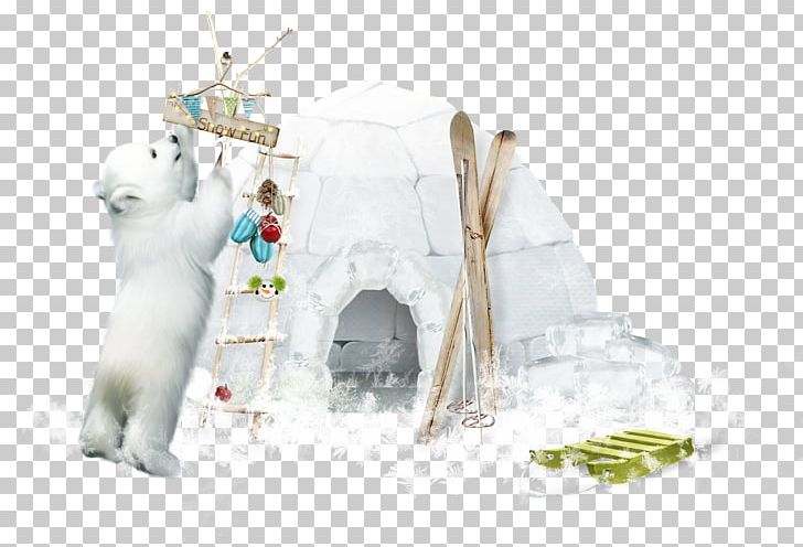 Polar Bear PNG, Clipart, Animals, Balloon Cartoon, Bear, Boy Cartoon, Cartoon Character Free PNG Download