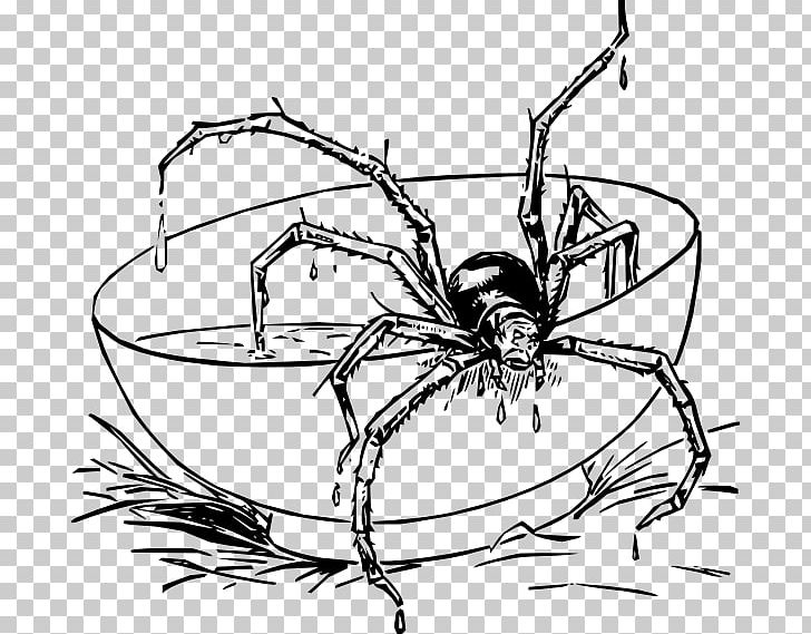 Scary Spiders Coloring Book Tarantula Spider-Man PNG, Clipart, Arachnid, Arthropod, Artwork, Black And White, Child Free PNG Download