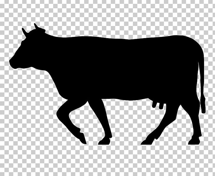 Angus Cattle Salers Cattle Charolais Cattle Beefmaster Zebu PNG, Clipart, Angus Cattle, Animals, Beef, Beef Cattle, Beefmaster Free PNG Download