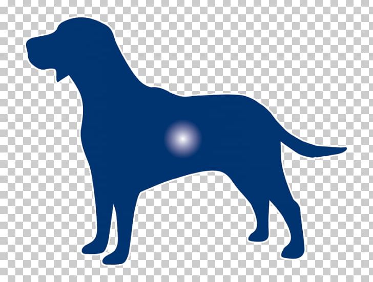 Labrador Retriever Puppy Dog Breed Sporting Group PNG, Clipart, Animals, Beauty Skin, Breed, Carnivoran, Dog Free PNG Download