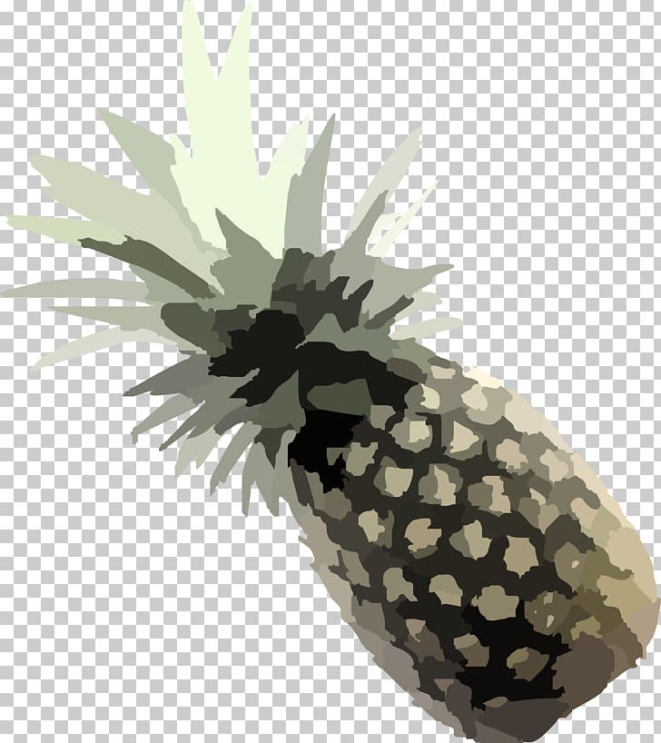 Pineapple Tropical Fruit PNG, Clipart, Accessory Fruit, Bromeliads, Food, Fruit, Fruit Nut Free PNG Download
