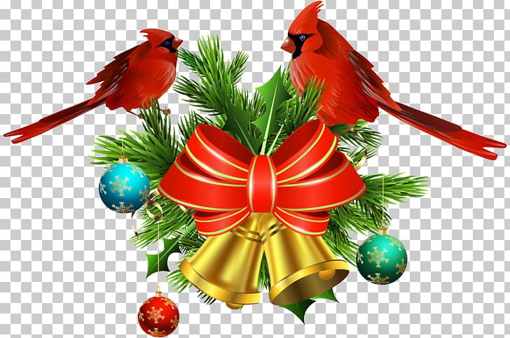 Christmas Ornament Christmas Decoration Tree PNG, Clipart, Art Christmas, Beak, Bird, Birds, Christmas Free PNG Download