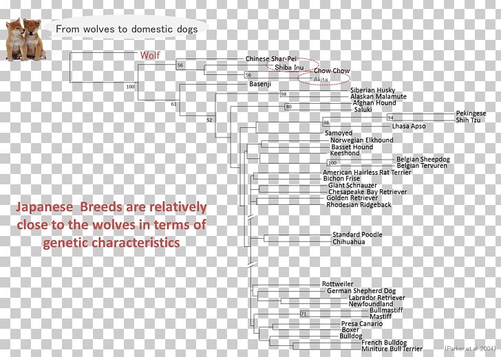 Document Line Angle PNG, Clipart, Angle, Area, Art, Diagram, Document Free PNG Download