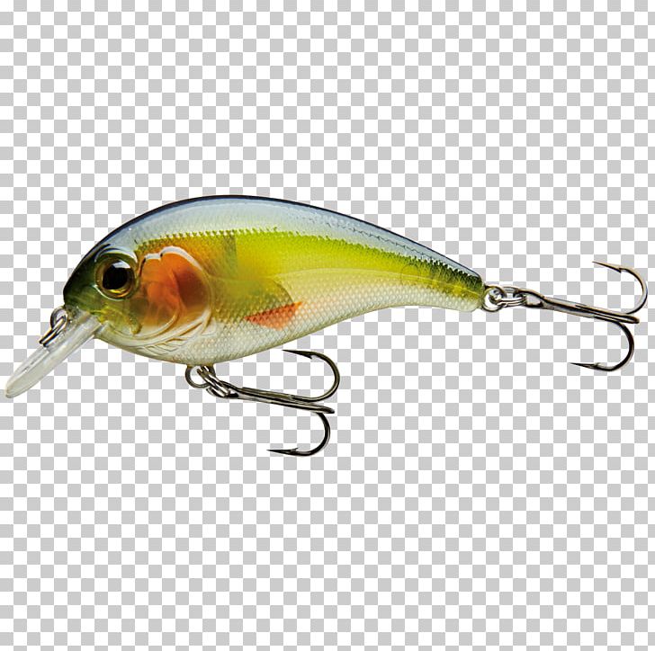 Perch Spoon Lure Insect Fish AC Power Plugs And Sockets PNG, Clipart, Ac Power Plugs And Sockets, Animals, Bait, Bony Fish, Fish Free PNG Download