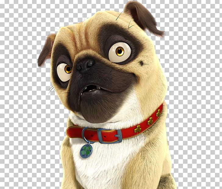 YouTube Pug Surly Film PNG, Clipart, Carnivoran, Character, Companion Dog, Dog, Dog Breed Free PNG Download