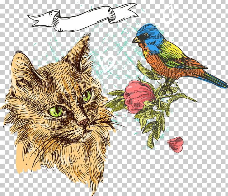 Cat Kitten Bird Illustration PNG, Clipart, Animal, Animals, Bird Cage, Carnivoran, Cartoon Free PNG Download