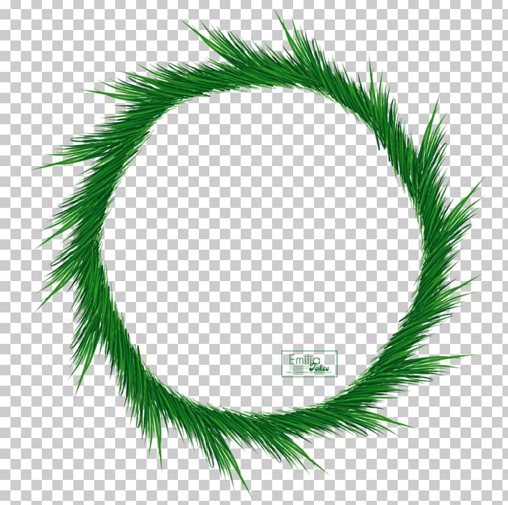 Green Computer Icons Circle Leaf PNG, Clipart, Border Frames, Branch, Christmas Decoration, Christmas Ornament, Circle Free PNG Download