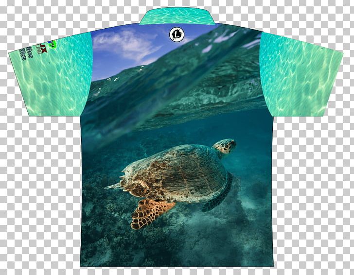 Loggerhead Sea Turtle Ecosystem Marine Biology Fauna PNG, Clipart, Animals, Aqua, Biology, Ecosystem, Fauna Free PNG Download