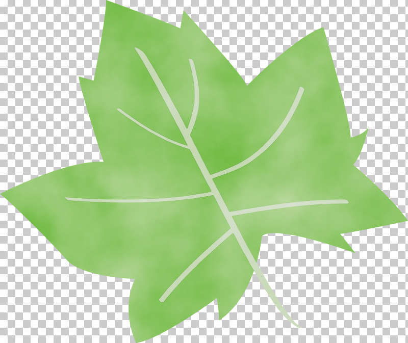 Leaf Green M-tree Symmetry Tree PNG, Clipart, Abstract Leaf, Biology, Cartoon Leaf, Cute Leaf, Green Free PNG Download