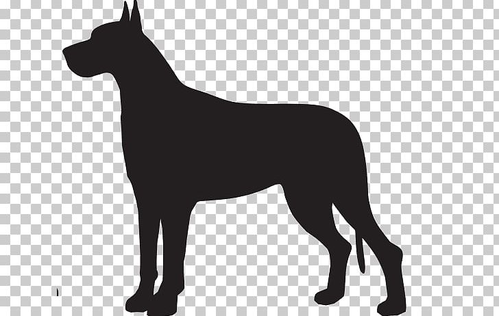 Great Dane Dog Breed Non-sporting Group Towel Breed Group (dog) PNG, Clipart, Beach, Black, Black And White, Blanket, Breed Free PNG Download