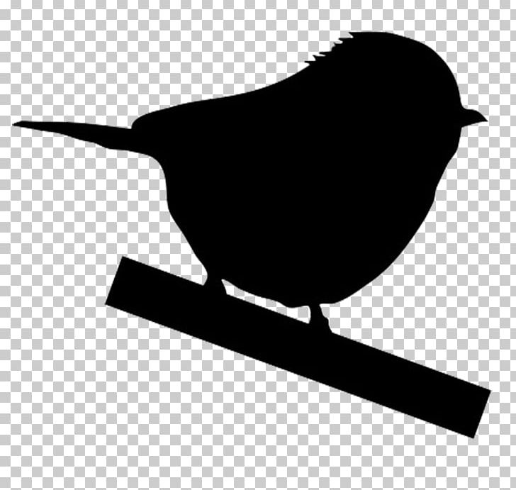 Bird Silhouette American Robin Photography PNG, Clipart, American Robin, Animals, Beak, Bird, Bird Flight Free PNG Download
