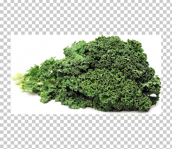 Kale Food Smoothie PNG, Clipart, Aonori, Austral Pacific Energy Png Limited, Computer Icons, Food, Food Drinks Free PNG Download
