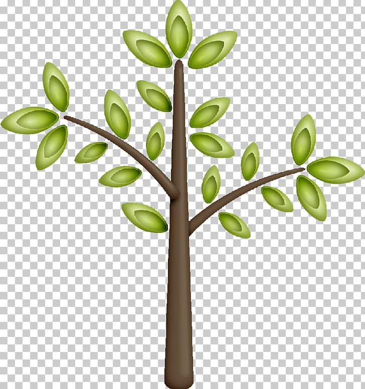 Twig Tree Branch Leaf Plant PNG, Clipart, Birch, Branch, Forest, Fruit Tree, Idea Free PNG Download